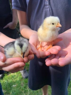 Ferienfreizeit Ostern (Erste Woche) Ferienfreizeit Ostern (Erste Woche)