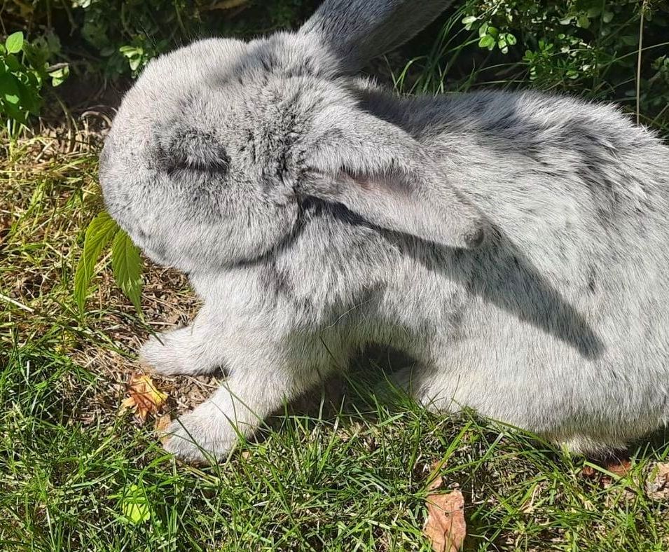 Ferienfreizeit Ostern