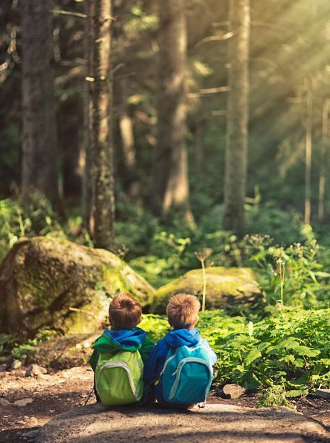 Waldläufer - Wildnisjahr für Kinder
