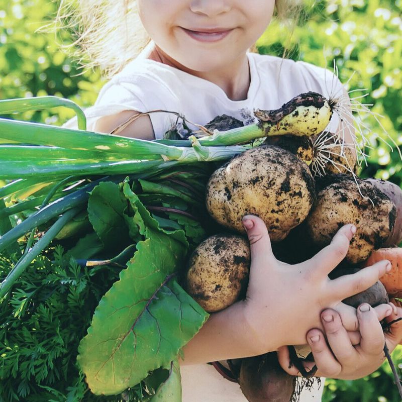 Gartenjahr für Kinder (Donnerstags)