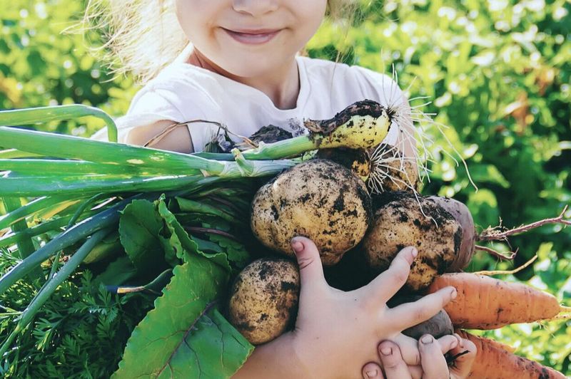 Gartenjahr für Kinder 2027 (Samstags) Gartenjahr für Kinder 2027 (Samstags)