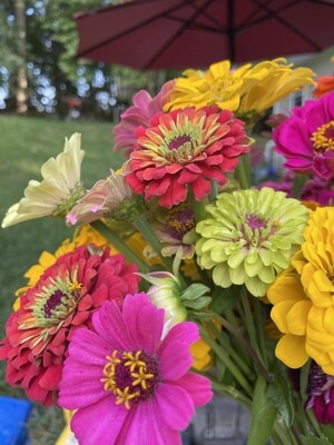 Summer blooms bouquet subscriptions