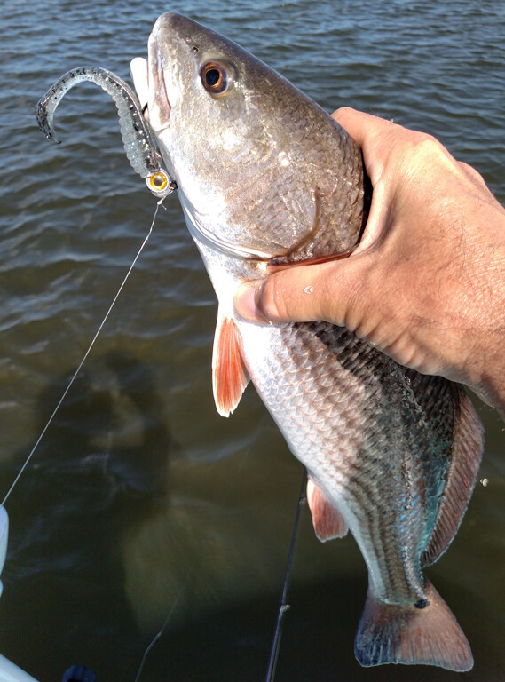 Z-Man Swimmin' Trout Trick 3.5
