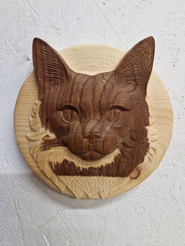 Katze