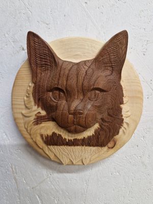 Katze