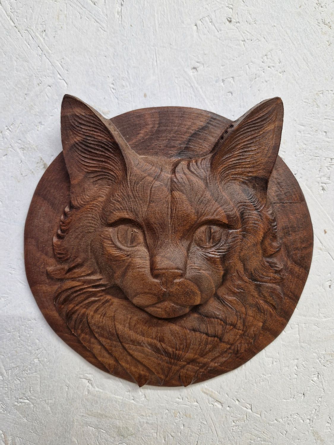 Katze