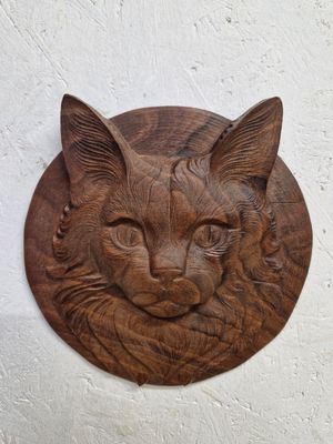 Katze
