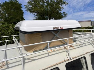 Toile champignon Split