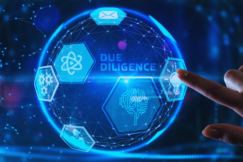 Due Diligence Investigation