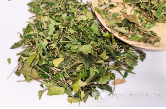 Dây thìa canh khô