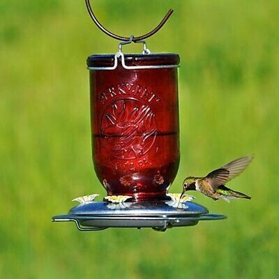 Perkys Pet Red Mason Hummingbird Feeder