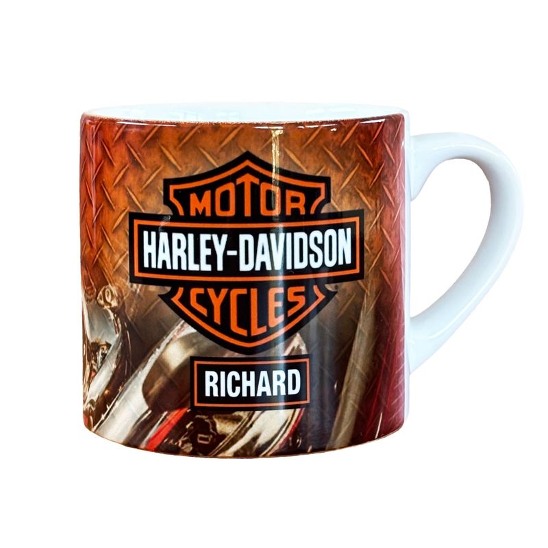 Harley-Davidson kopje - Born to ride -