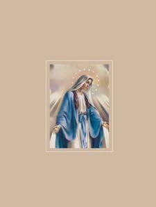 Signature book Virgin Mary frame model