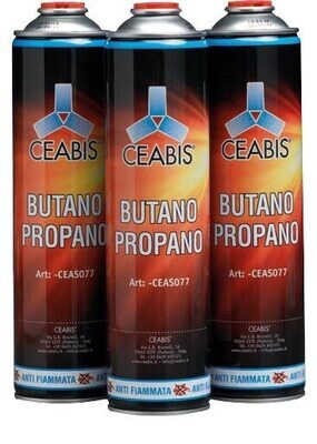 Single use against burst of flame gas bottles