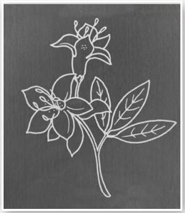 White rectangular veil with decor azalea and strass