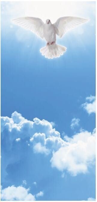 Holy Spirit dove roll-up