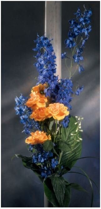 Yellow roses roll-up