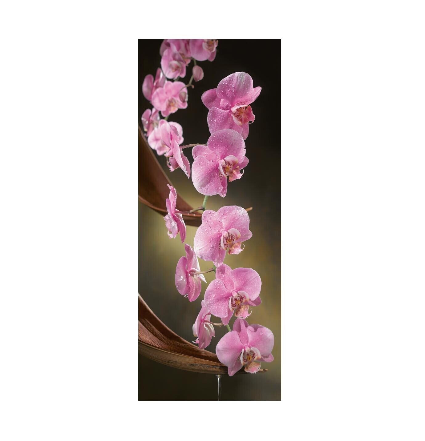 Orchid towards right roll-up