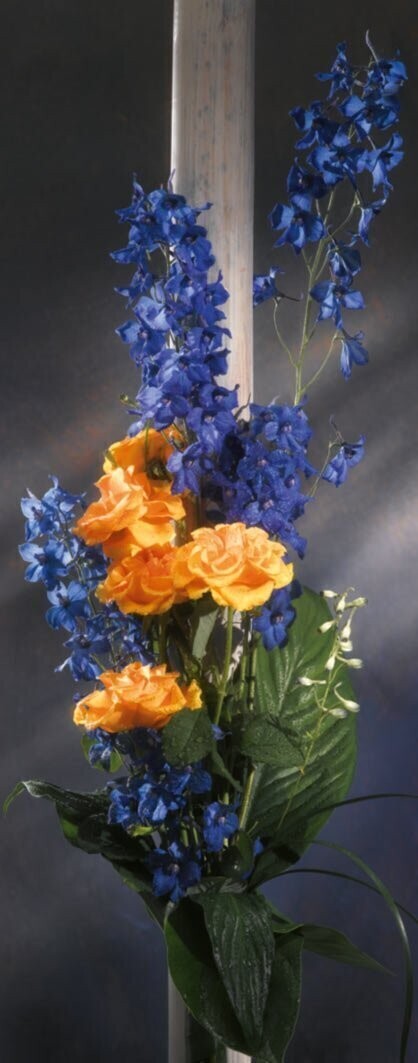 Yellow roses roll-up