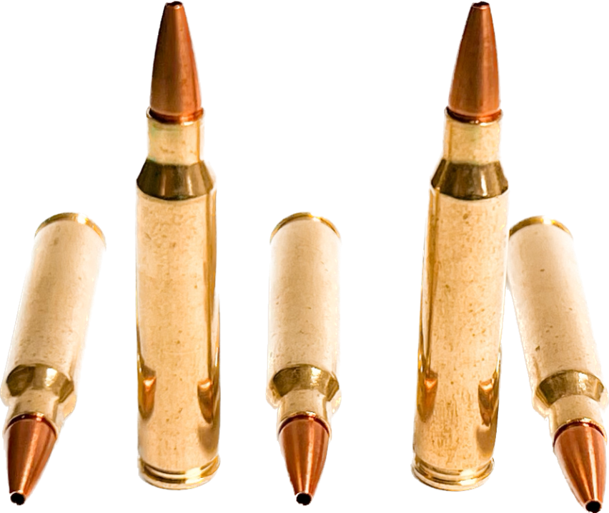 223 Remington 32 Gr GTFO 4000 FPS
