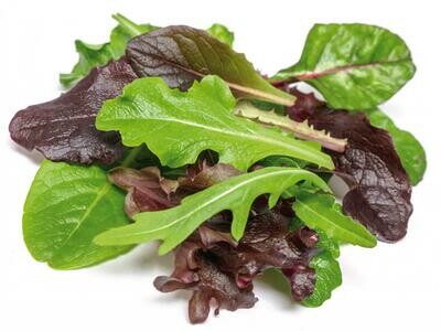 INSALATE