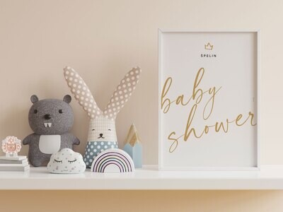 PAKET / BABY SHOWER MODEREN