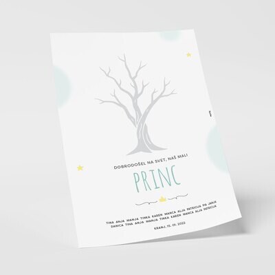 GRAFIKA / ZA BODOČO MAMICO &amp; OB ROJSTVU FANTEK