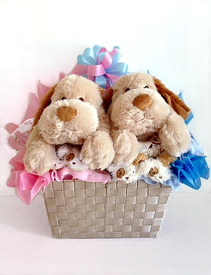 SCRUFFY PUPPY BASKET FOR TWINS SCRUFFY PUPPY BASKET FOR TWINS