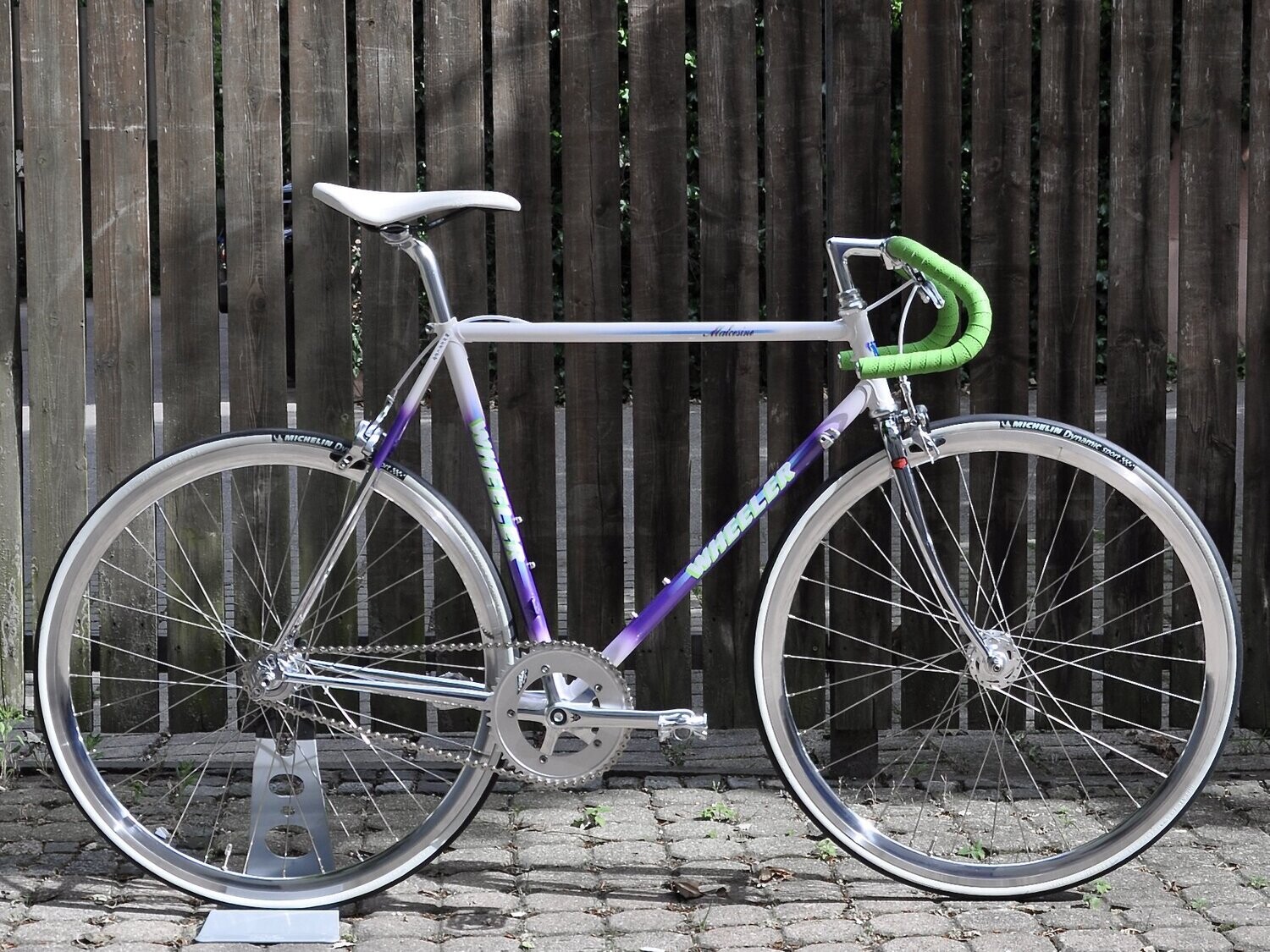 Viola Wheeler REIMAGINED Singlespeed RH 55