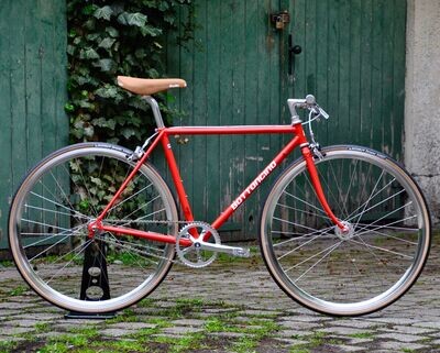 Rubina REBORN Singlespeed RH 50