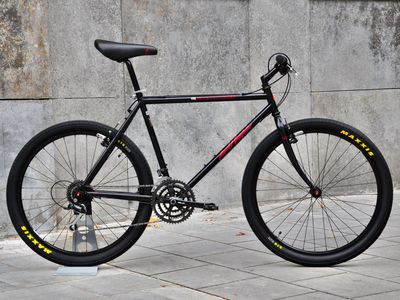 Ronja Rockhopper REIMAGINED 3x8 Street Shredder RH 49