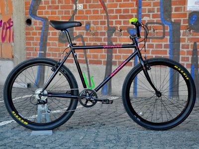 Ryder Rockhopper RESURRECTED 1x7 MTBMX RH 49