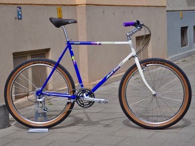 Rachel Rockhopper RESURRECTED 3x6 Commuter Cruiser RH 56