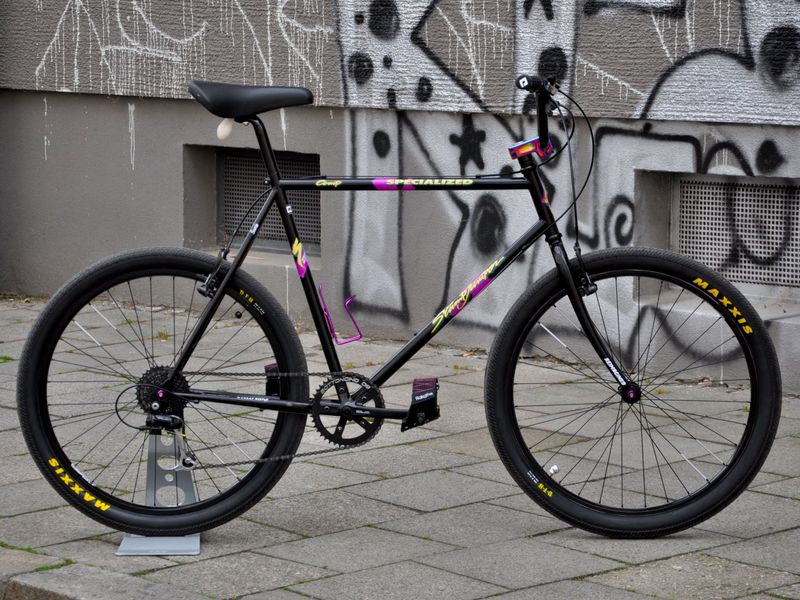 Suzie 2.0 Stumpjumper REIMAGINED 1x8 MTBMX RH 55