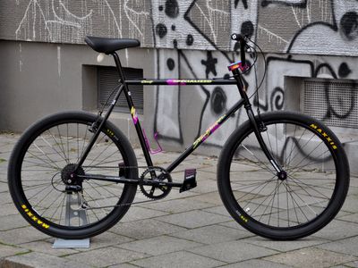 Suzie 2.0 Stumpjumper REIMAGINED 1x8 MTBMX RH 55