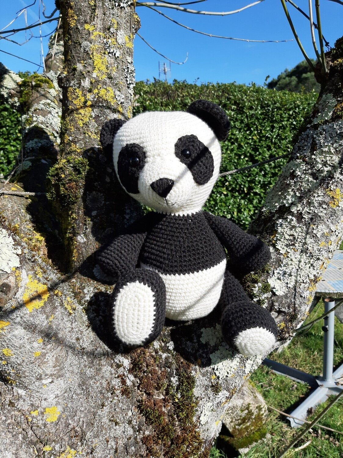 Panda noir et blanc