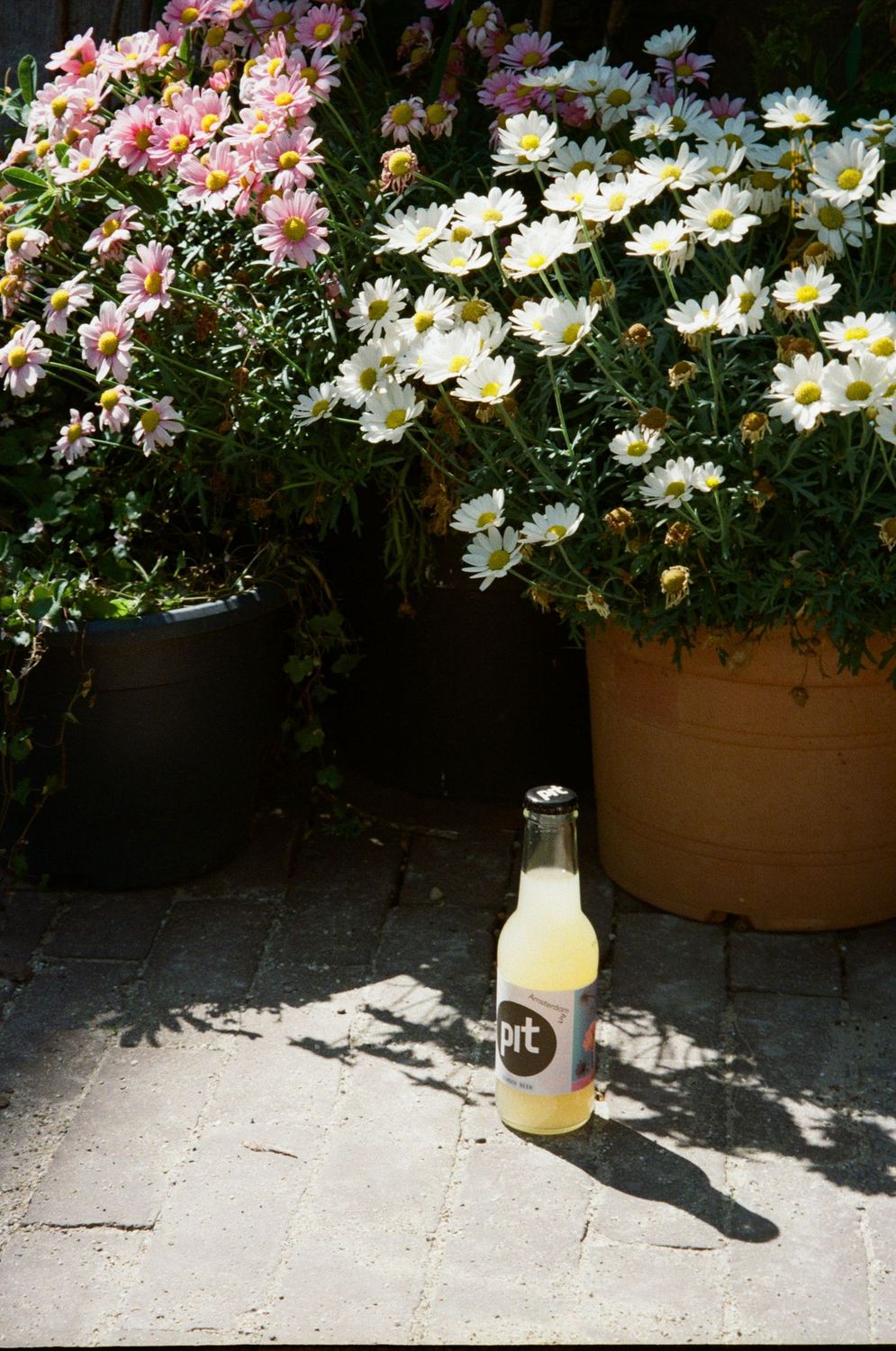 a bottle of pit