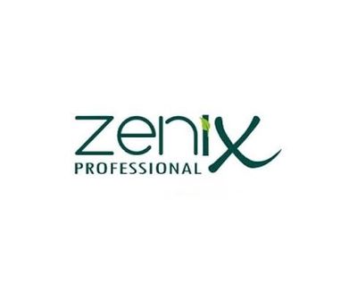 ZENIX