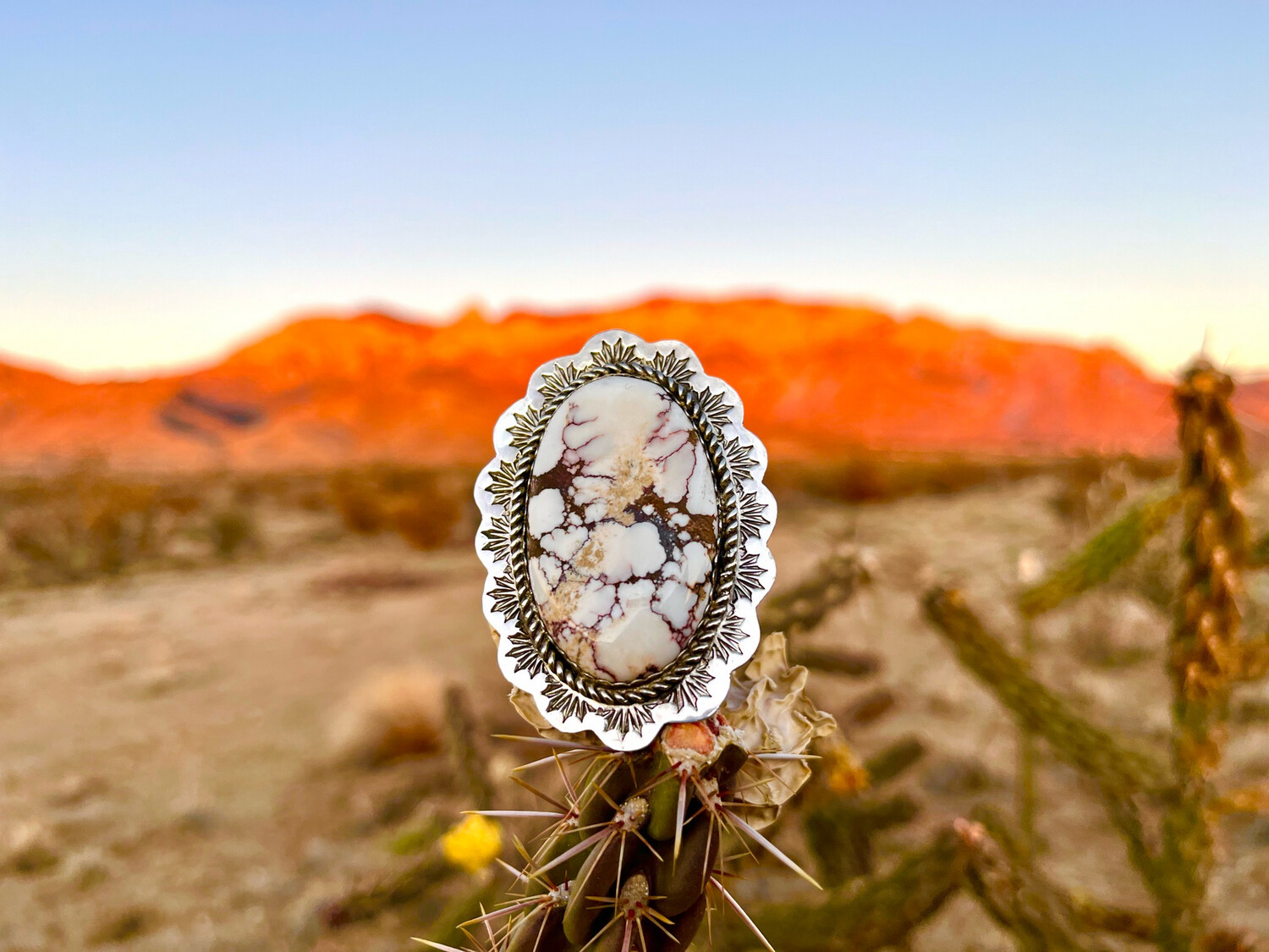 Desert Sunset
