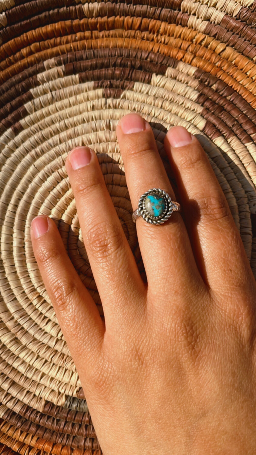 Navajo Beauty