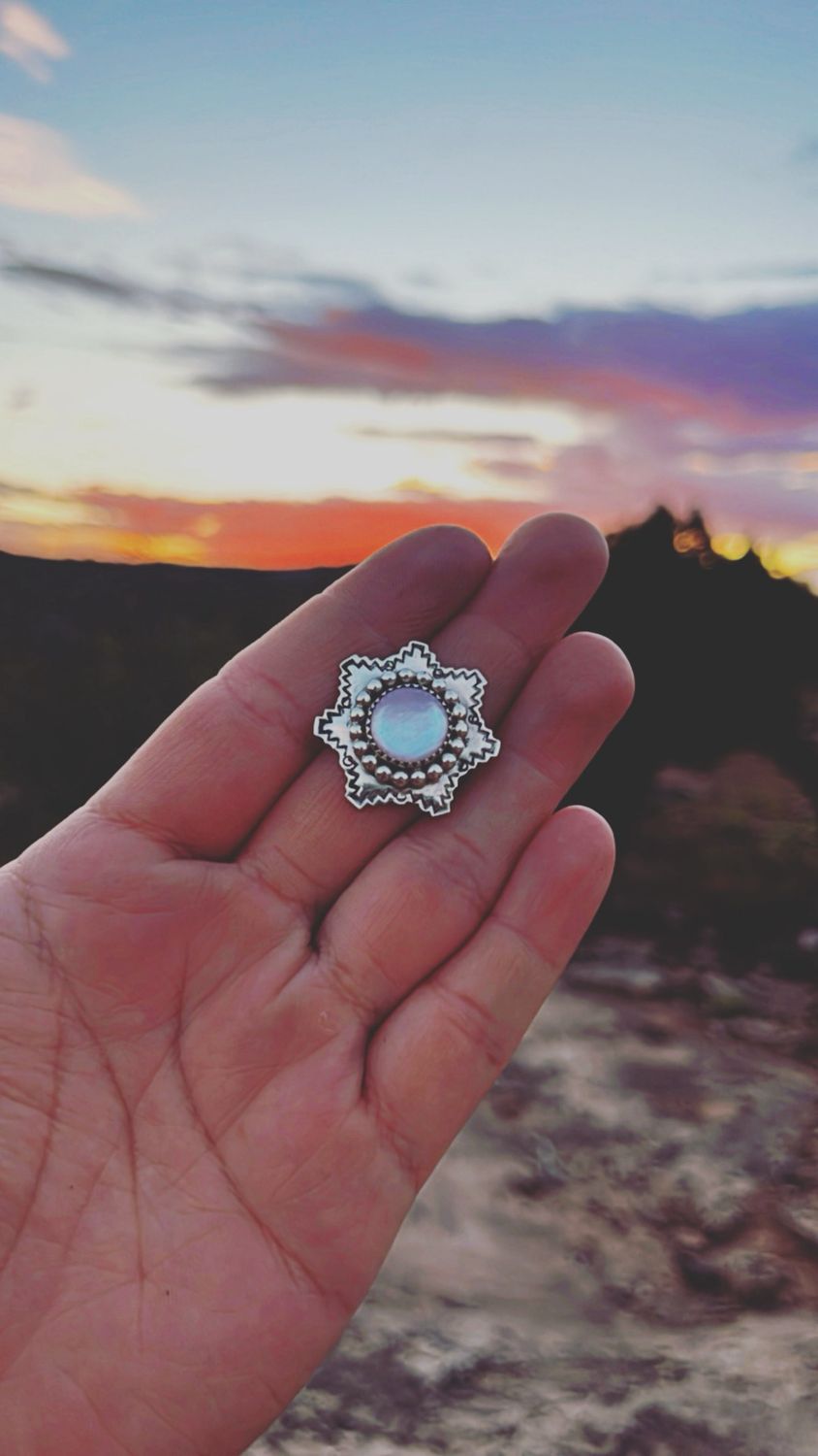 Pink Shell Sunset