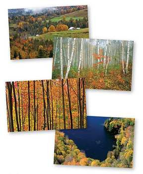 Autumn Trees In Vermont Note Cards