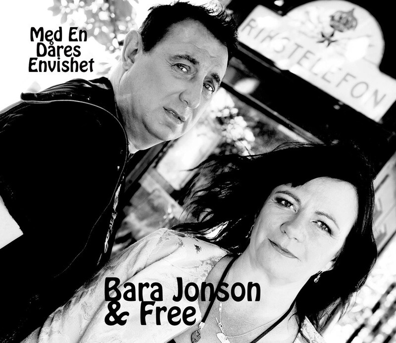 Med En Dåres Envishet