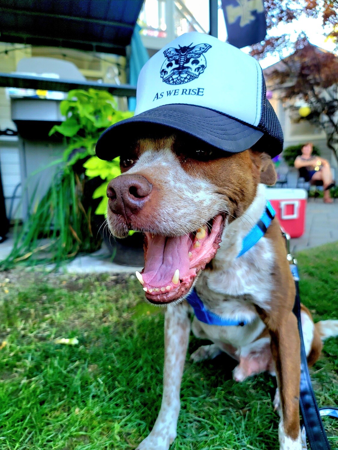 Trucker Hat
