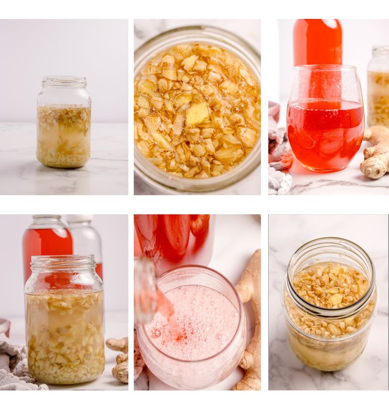 How To Make A Ginger Bug