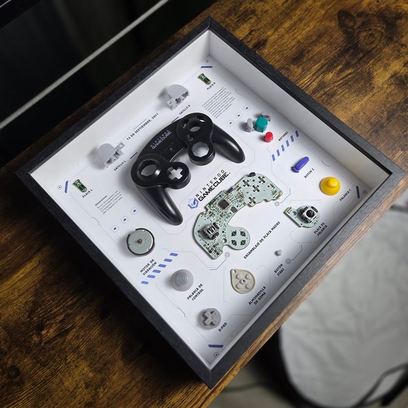 Cuadro control Nintendo Gamecube