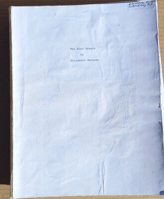 The Nine Essays by Elizabeth Bergman