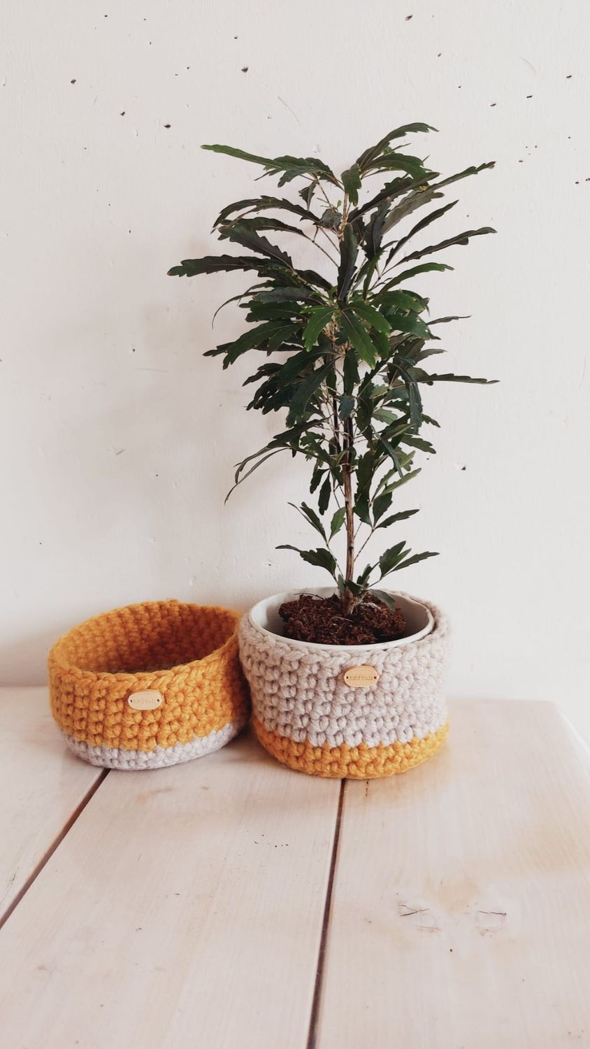 Panier crocheté Ambréa fait main utilisé comme cache-pot avec plante verte