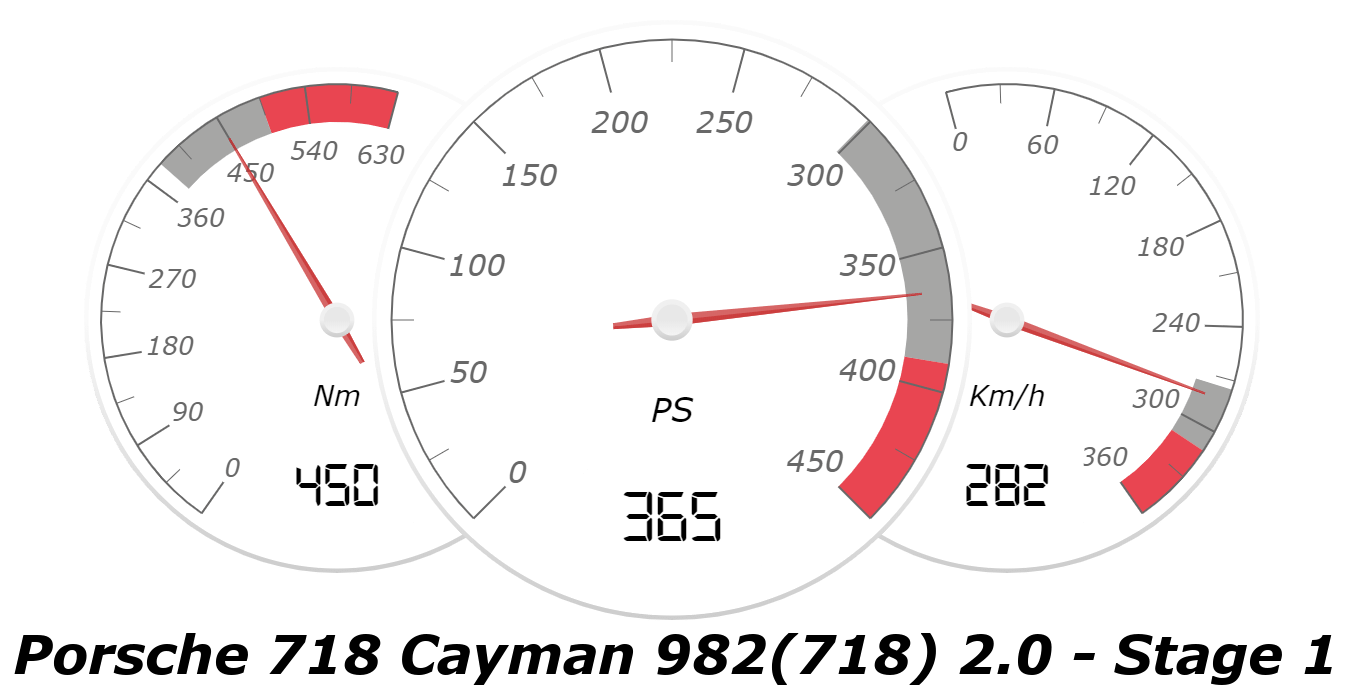 Stage I Porsche Cayman 2.0 718 (982) ab 2016-