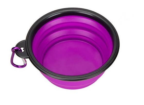 Collapsible Food / Beverage Bowl